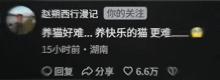 會拉車的網(wǎng)紅貓“喪彪”中毒死亡 趙朔評論區(qū)留言：養(yǎng)貓好難