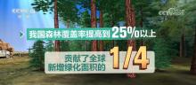多個(gè)數(shù)據(jù)見(jiàn)證科學(xué)治沙戰(zhàn)績(jī) 中國(guó)智慧貢獻(xiàn)全球