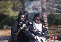 北京迎来大风天气 寒潮致降温明显