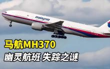 马航MH370残骸搜寻背后的商业逻辑 精算与希望并存
