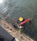 女子為救愛犬跳入湖中 市民與巡檢員合力救援