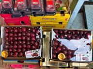 車?yán)遄优l(fā)價“大跳水” 海運大量到貨引發(fā)價格回落