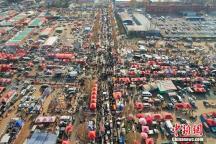 人这一辈子一定要赶一次山东大集 感受市井烟火与乡土文化