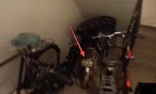 疏散通道停放电动自行车 北京经开区一车主被当场处罚 违规停车受罚