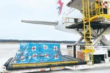 2025年的英国，买不到几十年前发明的药膏，被一种中世纪的寄生虫逼得关停学校？