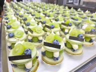 青提在台湾被网暴了 大陆用语引发争议