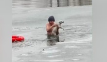 男子跳下冰湖救流浪狗，网友：狗狗遇到心软的神