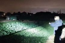 江阴多人报警！男子偷300余斤蔬菜售卖被抓