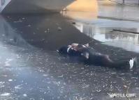 他把娃一把塞给路人跳湖救人 寒冬中的温暖救援