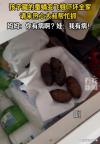 孩子因不忍心吃蚕蛹藏妈妈床头柜 惊喜变惊吓