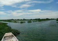 普通人养龙虾要避开这些坑 养殖需谨慎选择