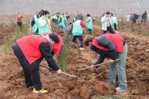 我国植树造林全球第一，为啥还要年年种树？ 从“绿起来”到“美起来”