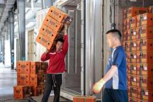 一大批榴莲来了 中老铁路加速运输