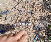 男子发现扔烟头处不长草决定戒烟 直观警示促成改变