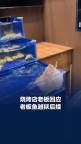 烧烤店老板鱼“越狱”把电视干坏了 扑腾水引发意外关注