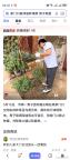 家门口被邻居种满菜男子怒拔 边界之争引共鸣