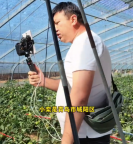 青年返乡变身蔬菜经纪人为家乡带货