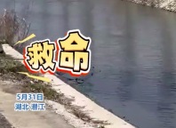 大叔路边游玩时见男孩落水呼救，立马跳进河里2分钟成功救回