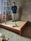 蛇類進入活躍期 這份防蛇指南請收好