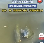 钓鱼佬彻底懵了！男子带鱼食去钓鱼 鱼直接张嘴要吃的