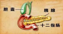 女子饿6吃1诱发重症胰腺炎 极端节食后的暴食危机