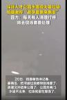深圳人才公园回应水面现大量垃圾 暴雨后遗症清理中