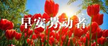 废品站有残障人员工作经营者被拘 案件引发社会关注