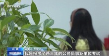 11人因“内部渠道”“特殊岗位”诈骗被刑拘