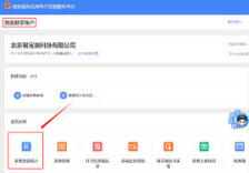 如何查询公司开具的发票