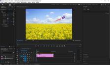 Premiere怎么做蝴蝶飞舞动画