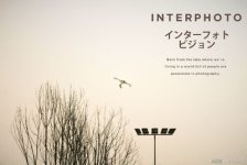 interphoto如何关注别人