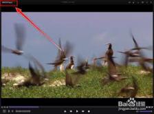 Kmplayer如何设置保存历史记录