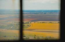 中国经济最具确定性的“上行电梯”