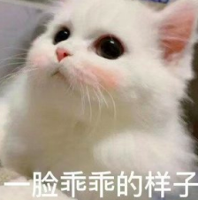 研究发现熬夜导致肥胖的原因！姐妹们早点睡吧