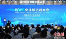 中外专家齐聚“中国光谷” 共谋孵化器发展新篇章