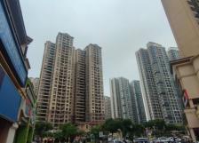 立竿见影，成交暴涨！深圳楼市“金九”稳了？