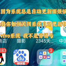 vivo应用商店app如何关闭自动更新