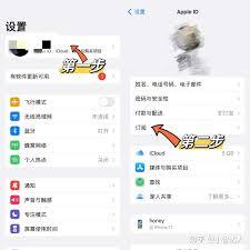 苹果如何取消连续包月服务