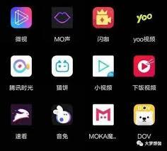微信视频号如何实现自动播放下一个