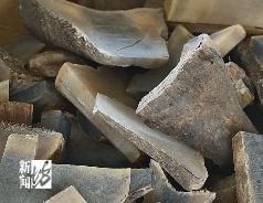 上海海關(guān)截獲瀕危犀牛角126塊 特大走私案告破