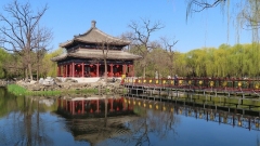 Beijing : les touristes profitent des magnifiques paysages printaniers au parc Yuanmingyuan