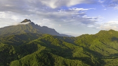 Chine: paysage de la section de Wuzhishan du Parc national de forêt tropicale humide de Hainan
