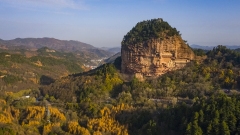 Chine: vue des grottes du mont Maiji au Gansu
