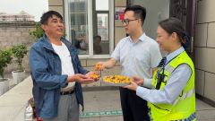 南平收费站：暖心助行 金果传情