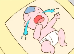 宝宝断奶期间选哪款奶粉？吸收力保护力双在线才是硬道理