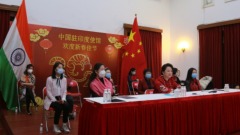 विदेशों में स्थित चीनी दूतावासों ने वसंत त्योहार की खुशियां मनायी