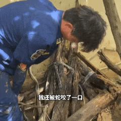 福建捕蛇能手在广西排除蛇患 勇者无畏再赴险