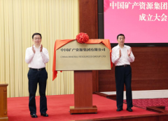 Vice-premiê chinês participa de reunião inaugural do China Mineral Resources Group