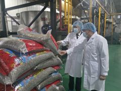 Changzhi Sunflower Seeds Export to Uzbekistan