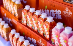 汇源救赎未果，控制权拉锯折损品牌